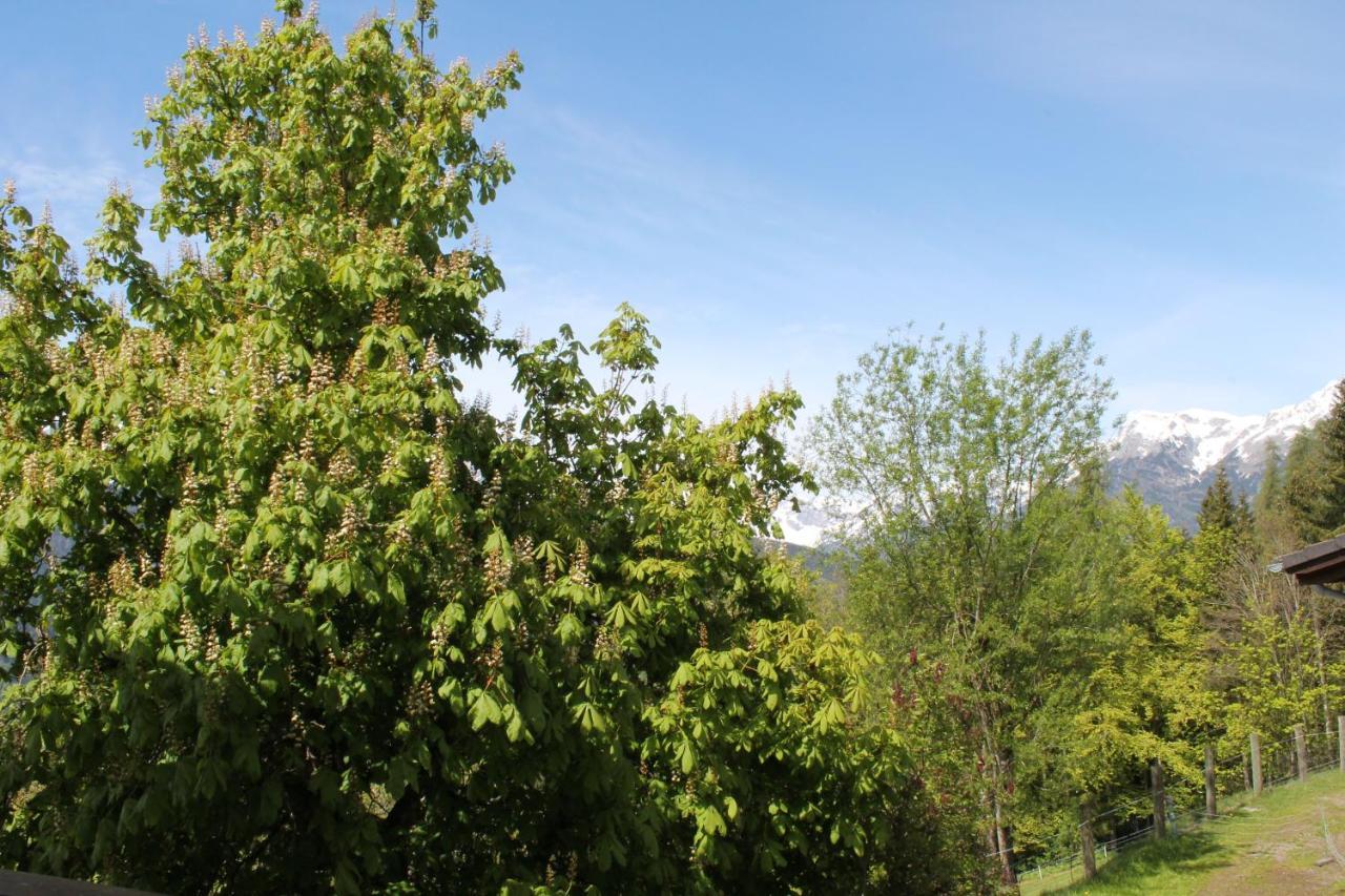 Ferienhotel Samerhof Pfarrwerfen Kültér fotó