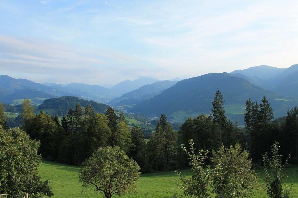 Ferienhotel Samerhof Pfarrwerfen Kültér fotó